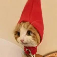 ทริสตอง โด avatar