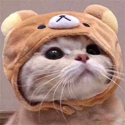 ปวีร์ ตันฑะเตมีย์ avatar